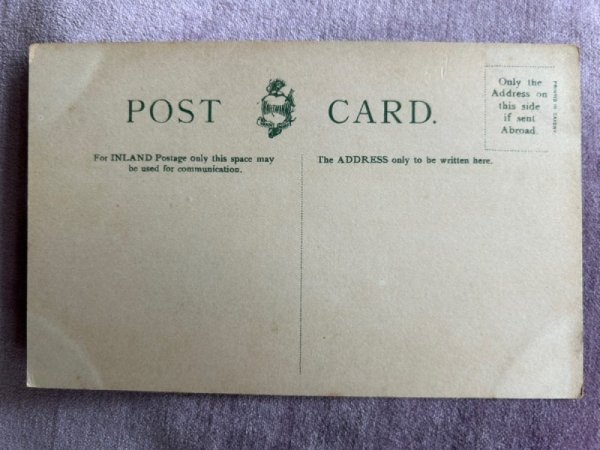 画像2: Postcard アンティークポストカード ブライトンへ休暇に行く猫たち (未使用) (2)