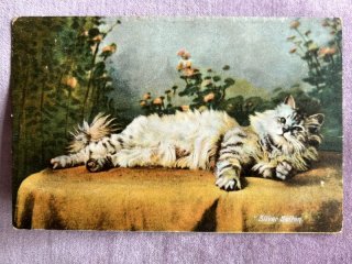 *アンティークポストカード　お人形と猫さんとティータイムの可愛い少女 Snowdrop Postcards アンティークポストカード専門店 < Cat & Girl >