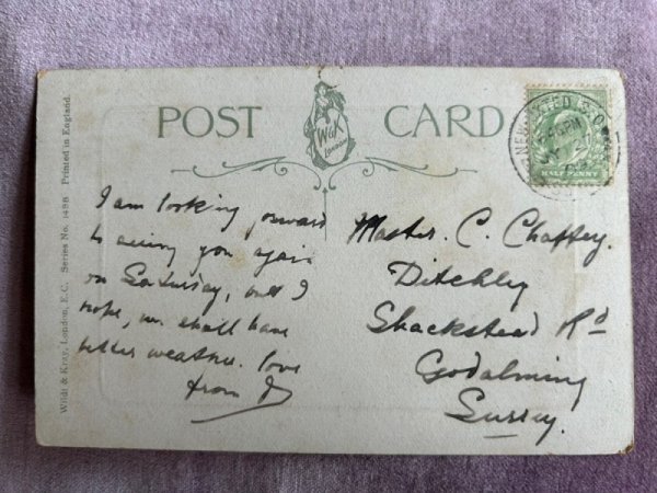 画像2: Postcard　アンティークポストカード　猫とヒヨコ　イギリス1909年 (2)