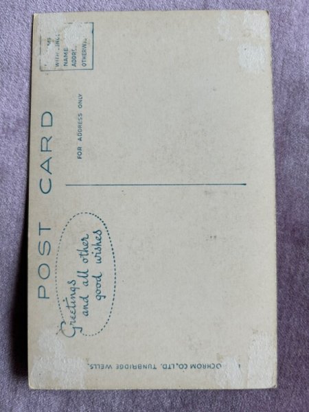 画像2: Postcard アンティークポストカード 長毛の猫 黒ペルシャ (2)