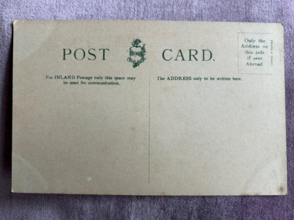 画像2: Postcard　アンティークポストカード　猫の親子　（未使用） (2)