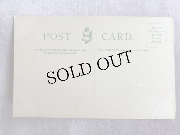 画像2: Postcard　アンティークポストカード　ティーカップと猫たち　（未使用） (2)