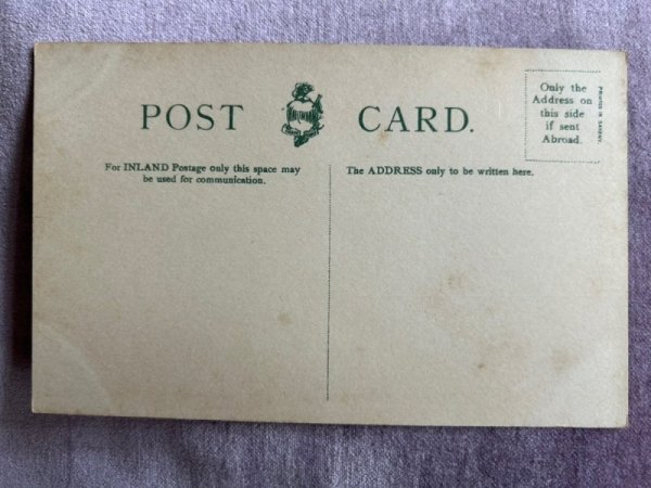 画像2: Postcard　アンティークポストカード　3匹の子猫　（未使用） (2)