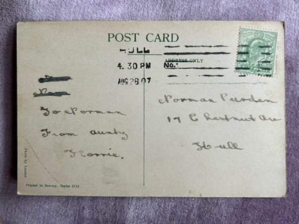 画像2: Postcard　アンティークポストカード　ペルシャ猫　イギリス1907年 (2)