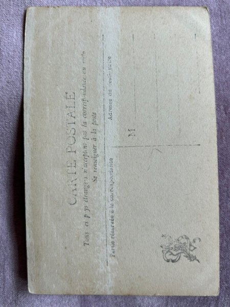 画像3: Postcard アンティークポストカード ご馳走を狙う猫 写真 (未使用) (3)