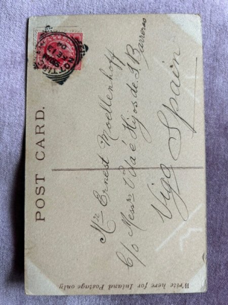 画像2: Postcard　アンティークポストカード　猫　イギリス1904年 (2)