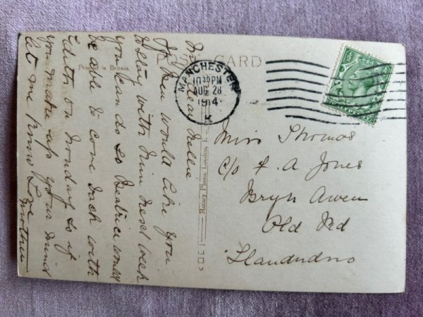 画像2: Postcard アンティークポストカード 子猫とウサギと子犬 写真 イギリス1914年 (2)