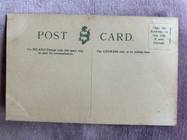 画像2: Postcard　アンティークポストカード　2匹の猫　ペルシャ　（未使用） (2)