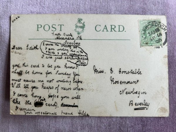 画像2: Postcard アンティークポストカード 2匹の猫 イギリス1906年 (2)