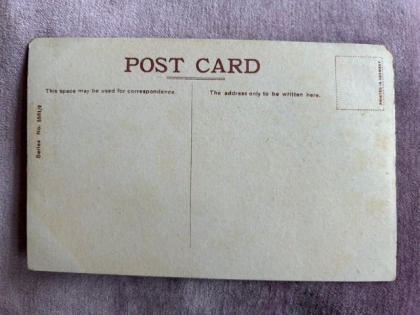 画像2: Postcard アンティークポストカード アルバムの写真を見つめる猫たち (未使用) (2)