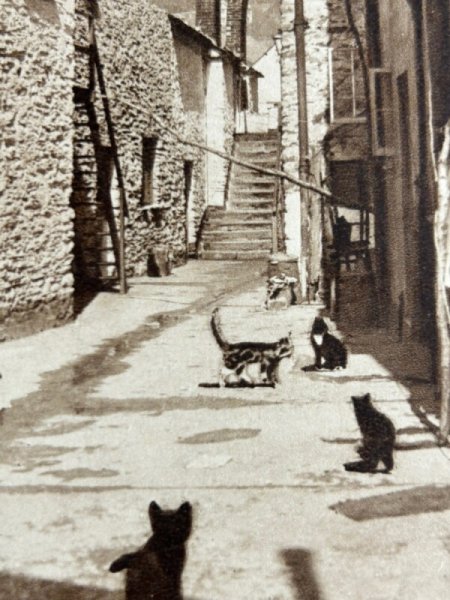 画像2: Postcard　アンティークポストカード　イギリス　コーンウォール　猫のいる裏通り　A Quaint Street. Looe Cornwall　（未使用） (2)