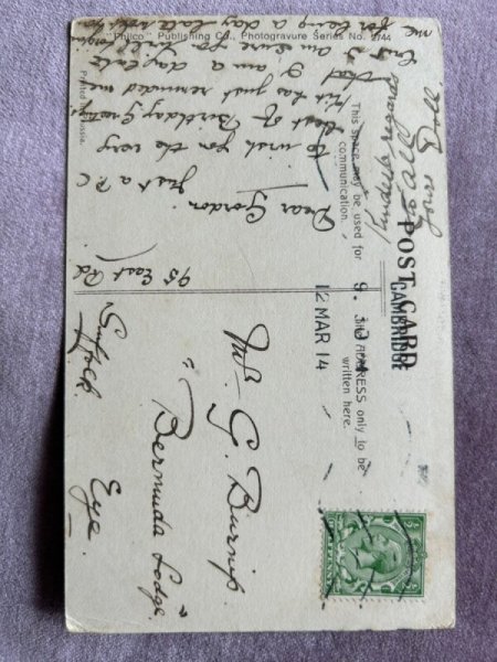 画像2: Postcard アンティークポストカード 長毛の猫 ペルシャ イギリス1914年 (2)