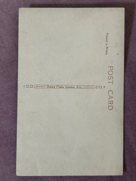 画像2: Postcard　アンティークポストカード　長毛の猫　写真　イギリス　（未使用） (2)