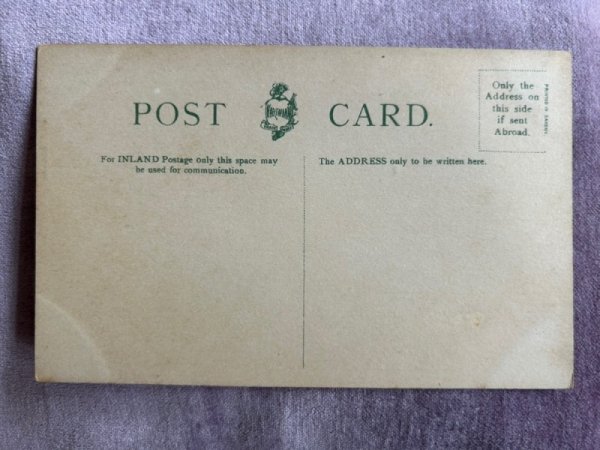 画像2: Postcard アンティークポストカード 2匹の猫 ペルシャ (未使用) (2)