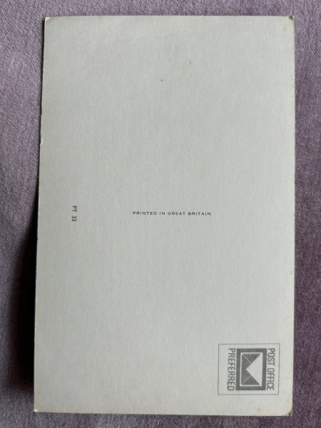 画像2: Postcard　アンティークポストカード　2匹の子猫　ペルシャ　（未使用） (2)