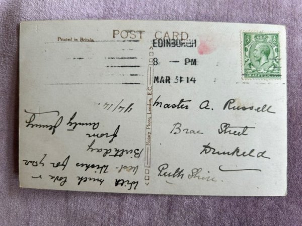 画像2: Postcard　アンティークポストカード　お花とバスケットの中の子猫　写真　イギリス1914年 (2)