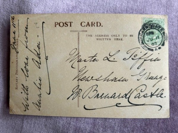 画像4: Postcard   アンティークポストカード ライオン 動物園 イギリス1907年 写真 (4)