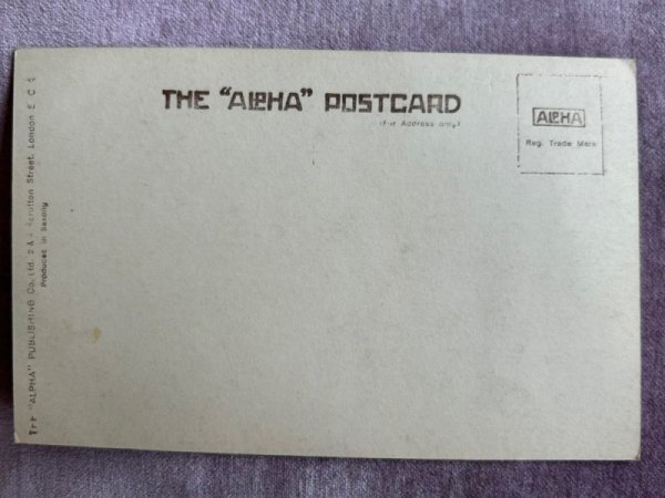 画像2: Postcard　アンティークポストカード　長毛の猫　写真　（未使用） (2)