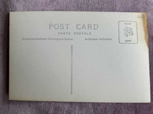 画像3: Postcard  　アンティークポストカード　雌ライオンと子ライオン　ライオネス　 (3)