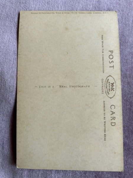 画像2: Postcard   アンティークポストカード  ゾウアザラシ 動物園 イギリス 写真1910年代頃 (2)