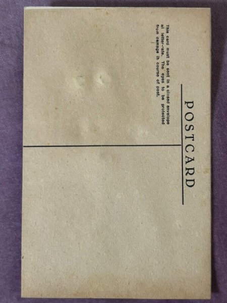 画像5: Postcard　アンティークポストカード　緑色の瞳の猫　ガラス　グラスアイ　（未使用） (5)