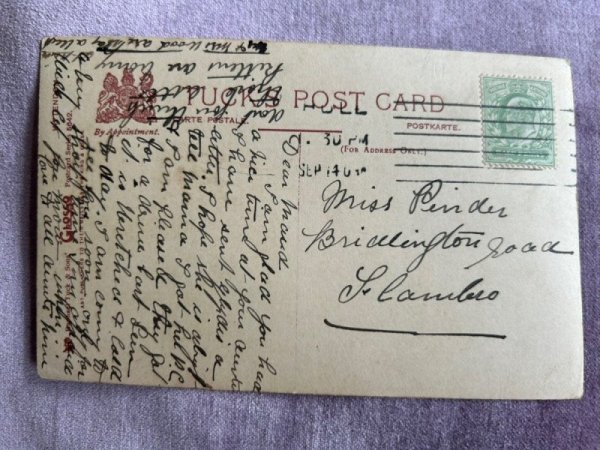 画像2: Postcard　アンティークポストカード　バスケットの中の4匹の子猫　写真　イギリス (2)