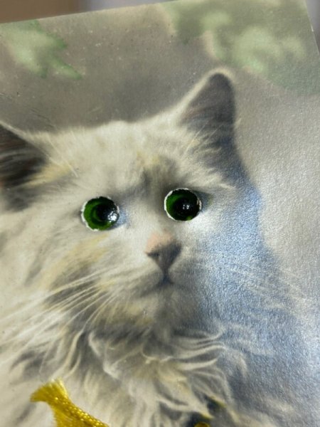 画像4: Postcard　アンティークポストカード　緑色の瞳の猫　ガラス　グラスアイ　（未使用） (4)