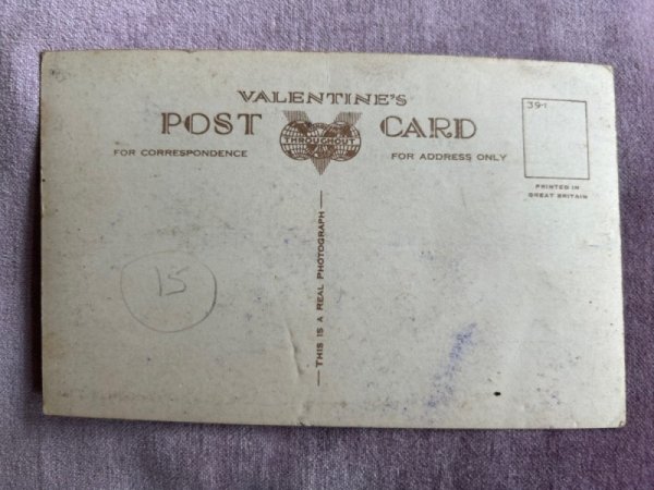 画像2: Postcard　アンティークポストカード　尻尾のない猫　マン島猫の親子　イギリス　（未使用） (2)