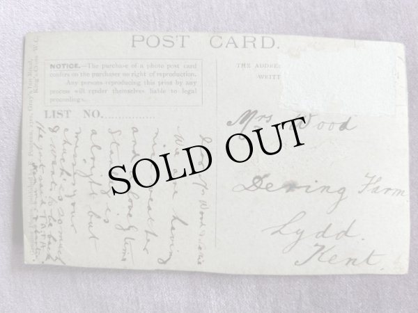 画像2: Postcard アンティークポストカード 寝ている猫 写真 (2)