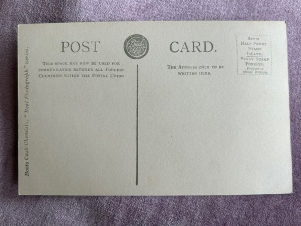 画像2: Postcard  　アンティークポストカード　ライオンのディック　動物園　イギリス　写真　（未使用） (2)