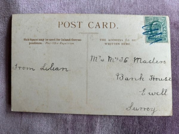 画像2: Postcard　アンティークポストカード　4匹の子猫 (2)