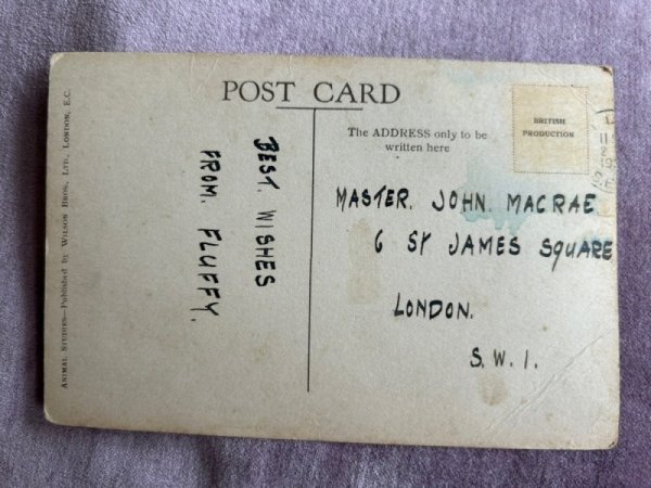 画像2: Postcard アンティークポストカード 2匹の長毛猫 ペルシャ イギリス  (2)