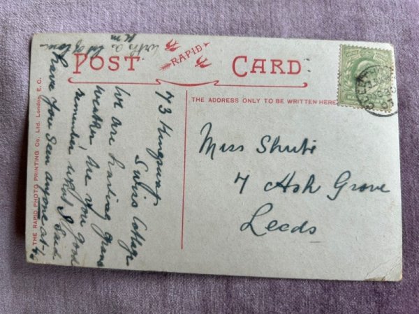 画像3: Postcard アンティークポストカード バスケットの中の子猫 イギリス1907年 (3)