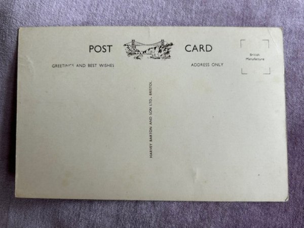 画像2: Postcard  　アンティークポストカード　雄ライオン　イギリス　（未使用） (2)