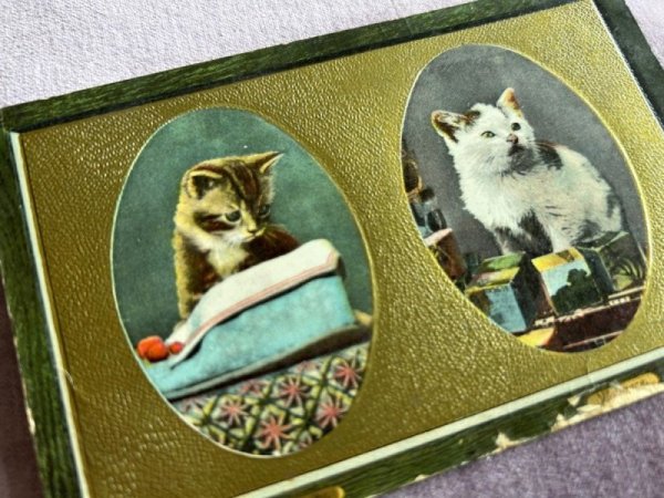 画像2: Postcard　アンティークポストカード　子猫　 (2)