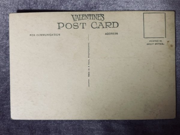 画像2: Postcard アンティークポストカード 5匹の子猫 写真 イギリス (未使用) (2)