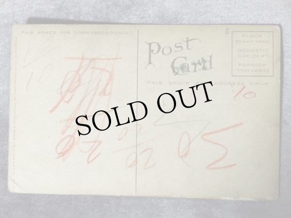 画像2: Postcard　アンティークポストカード　帽子の中の猫　薔薇 (2)