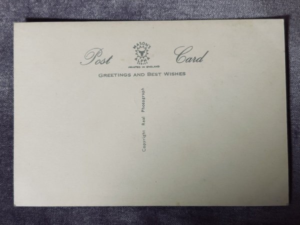 画像2: Postcard アンティークポストカード シャム猫 子猫 写真 イギリス(未使用) (2)