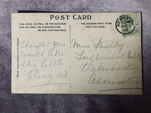 画像3: Postcard アンティークポストカード バスケットの中の子猫 帽子 写真 イギリス1906年 (3)