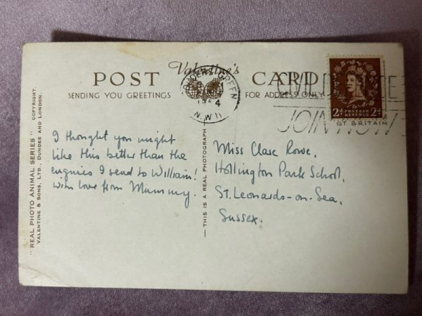 画像3: Postcard　アンティークポストカード　2匹の猫　写真 (3)