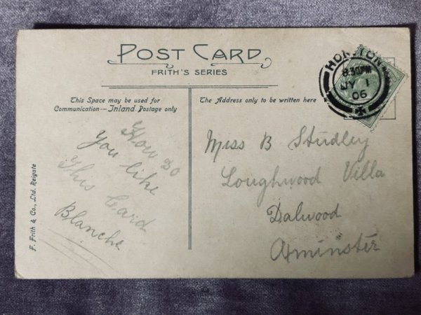 画像2: Postcard アンティークポストカード 本と子猫たち イギリス1906年 (2)