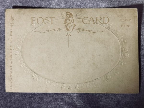 画像2: Postcard　アンティークポストカード　2匹の子猫　ペルシャ　（未使用） (2)