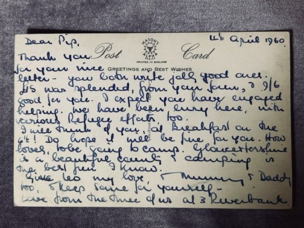 画像2: Postcard アンティークポストカード 3匹の子猫 1960年 (2)