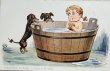 画像1: Postcard　アンティークポストカード　お風呂に入る女の子とダックスフンド犬　1914年 (1)