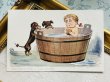 画像2: Postcard　アンティークポストカード　お風呂に入る女の子とダックスフンド犬　1914年 (2)