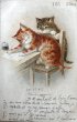 画像1: Postcard　アンティークポストカード　手紙を書く猫　フランス1906年  A.F. LYDON (1)