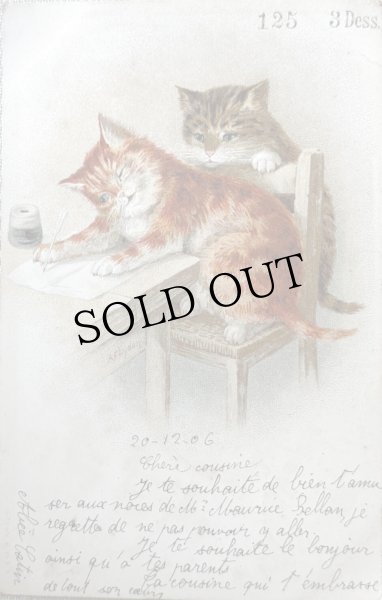 画像1: Postcard　アンティークポストカード　手紙を書く猫　フランス1906年  A.F. LYDON (1)