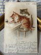 画像2: Postcard　アンティークポストカード　手紙を書く猫　フランス1906年  A.F. LYDON (2)