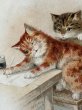 画像3: Postcard　アンティークポストカード　手紙を書く猫　フランス1906年  A.F. LYDON (3)