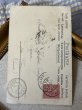 画像4: Postcard　アンティークポストカード　手紙を書く猫　フランス1906年  A.F. LYDON (4)